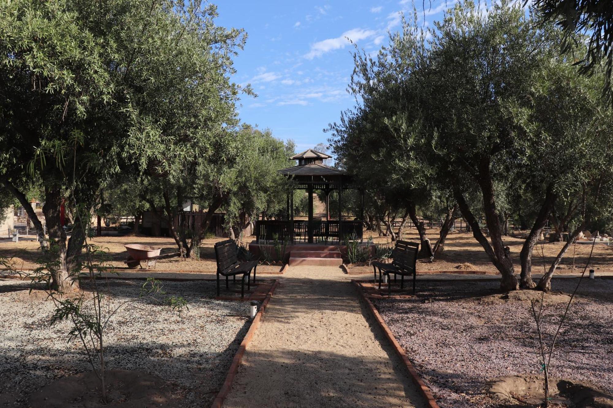 Estancia Los Amigos Valle De Guadalupe Eksteriør bilde